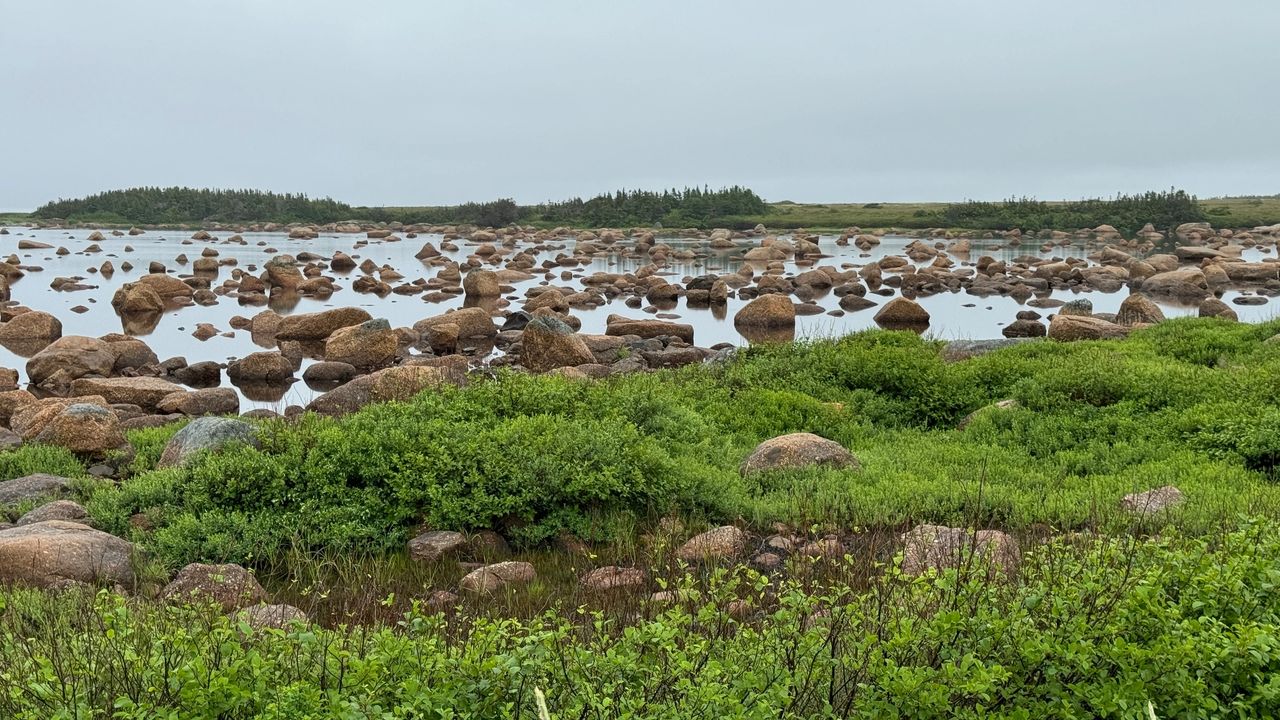 Rocky Pond Rocky Pond