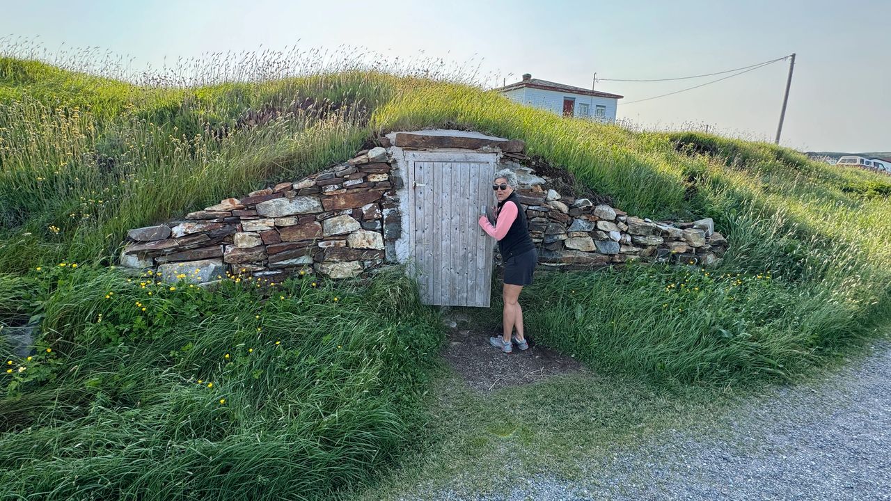 Root Cellar Root Cellar