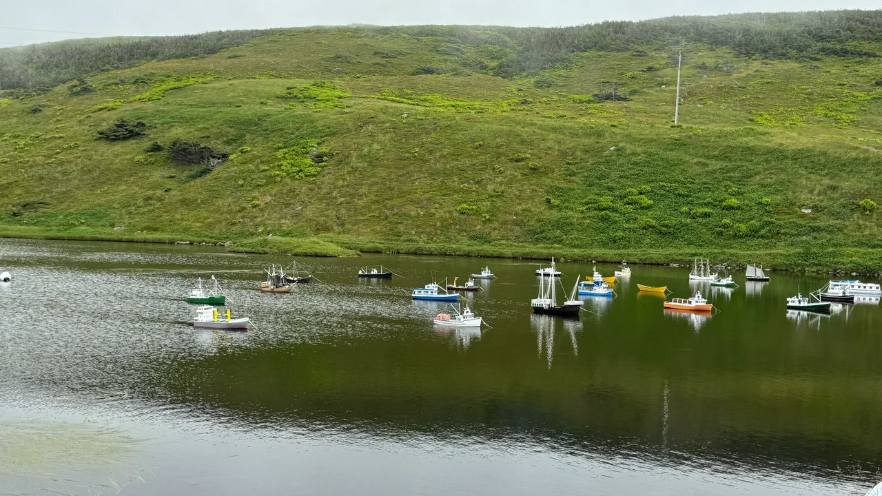Model boat regatta Model boat regatta