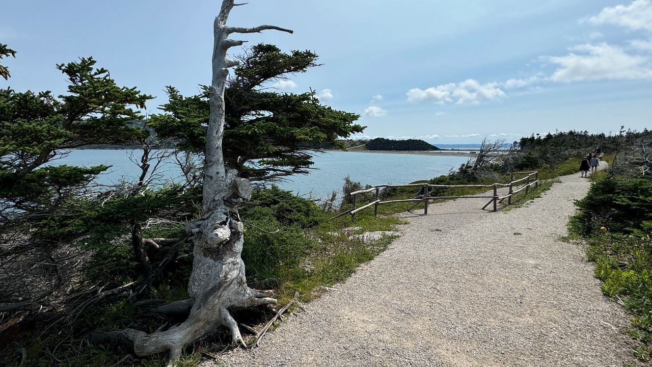 Danny's Trail