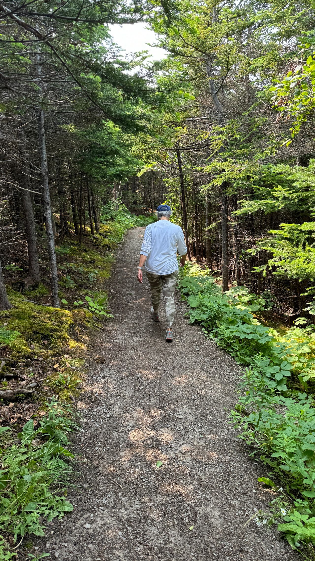 Danny's Trail