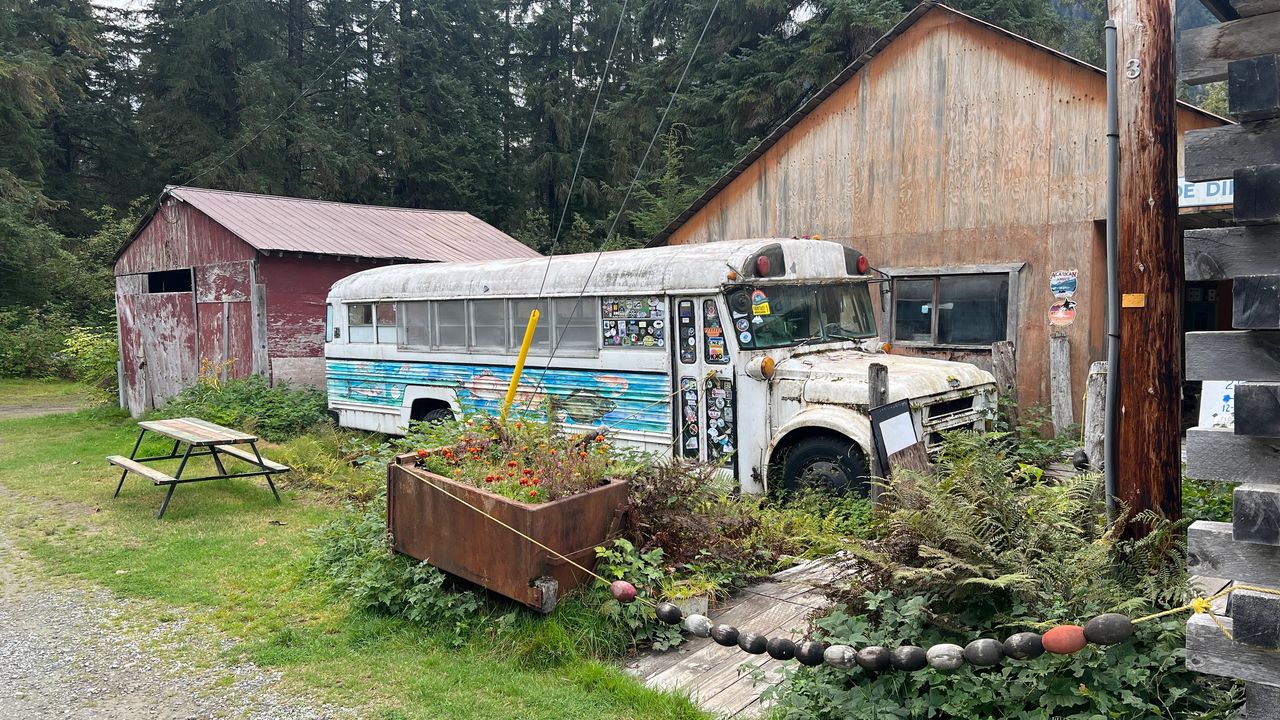 The Bus The Bus