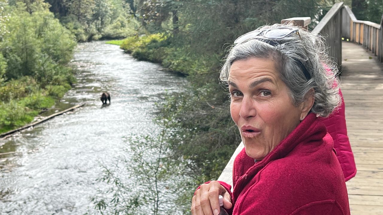 Bears! Bears!