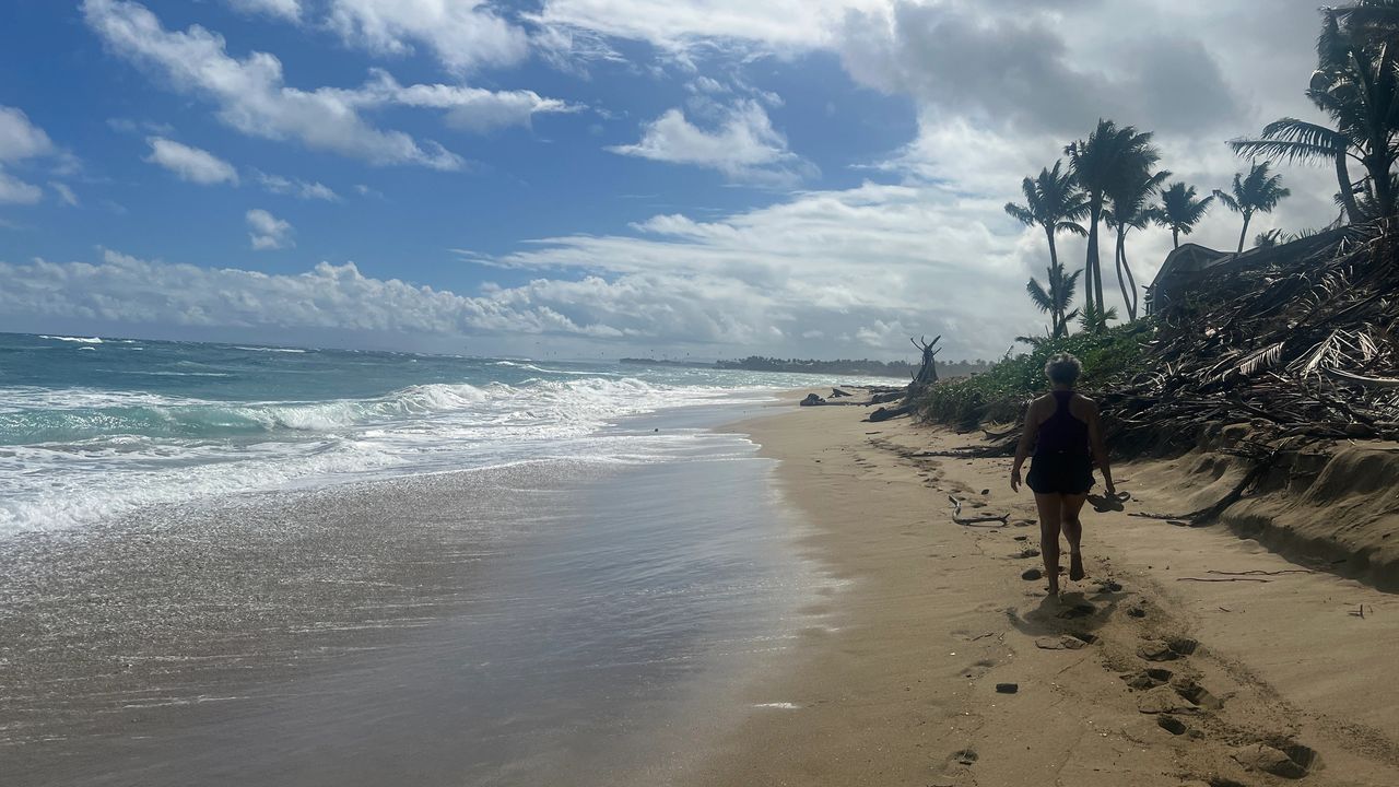 Yoli Strolling on the beach Yoli Strolling on the beach