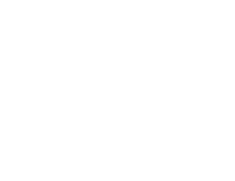 royalfishbrand.com
