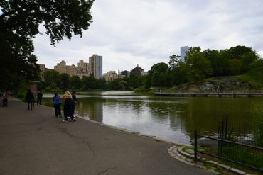 Central Park in Harlem.