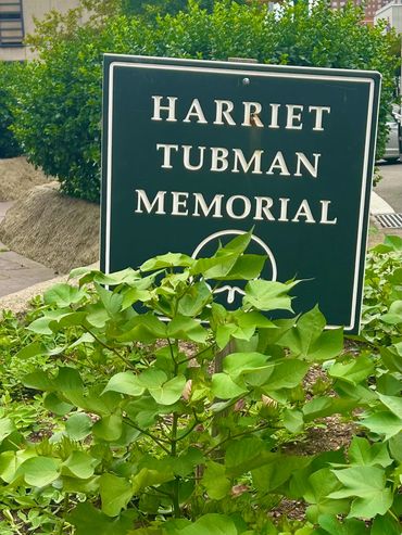 The Memorial sign for Harriet Tubman. #harriettubman 
