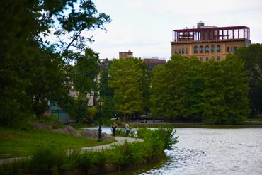 Central Park in Harlem.
