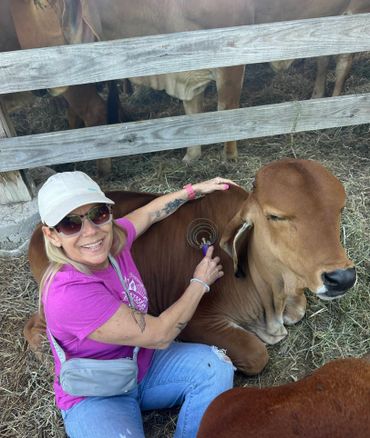 Woman in a white cap listens to a cow's heart with a stethoscope.