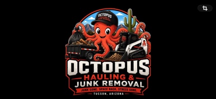 Octopus Hauling and Junk Removal