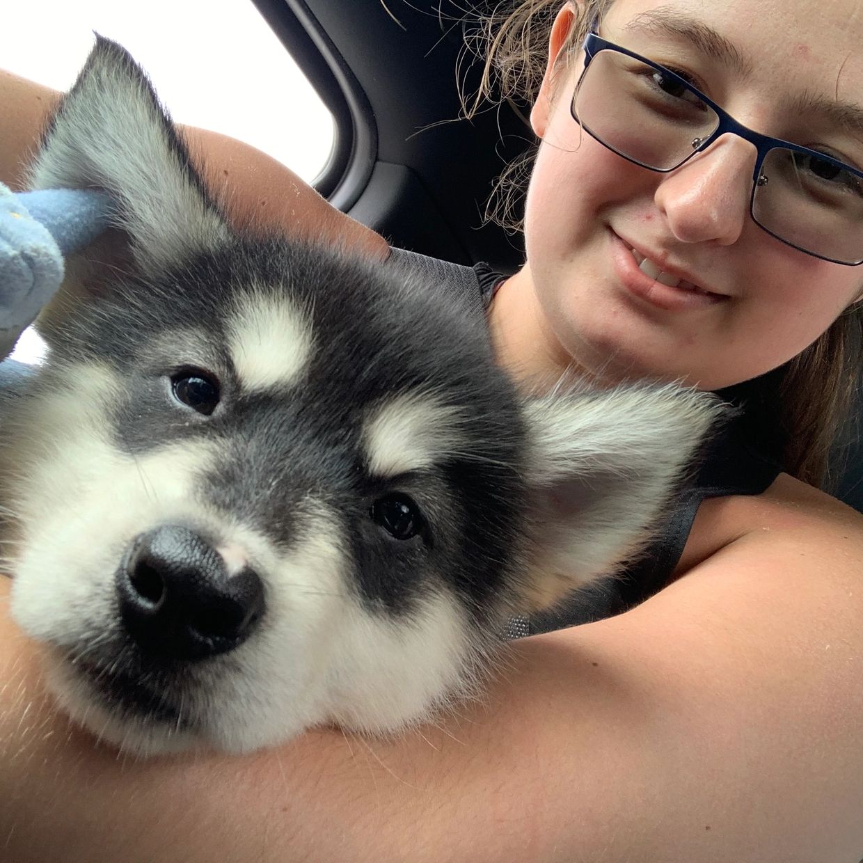 Bringing iris home in 2017