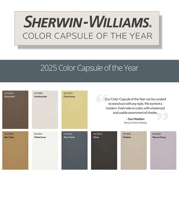 Sherwin Williams 2025 Paint color