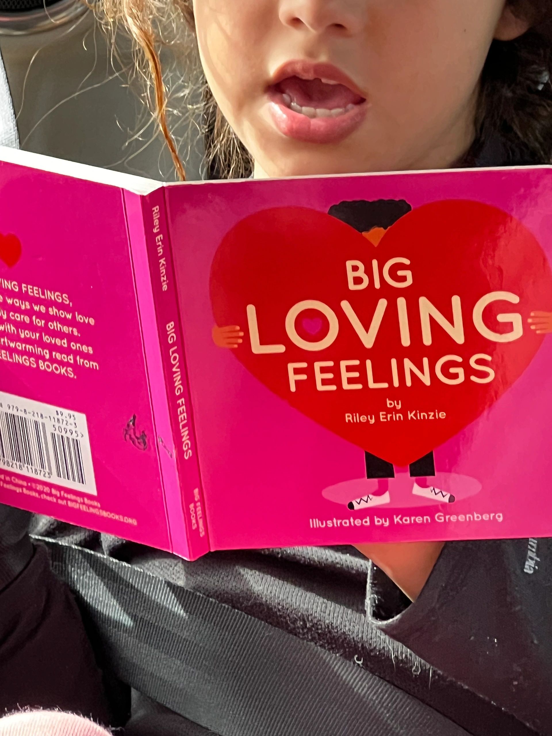 the big book of feelings