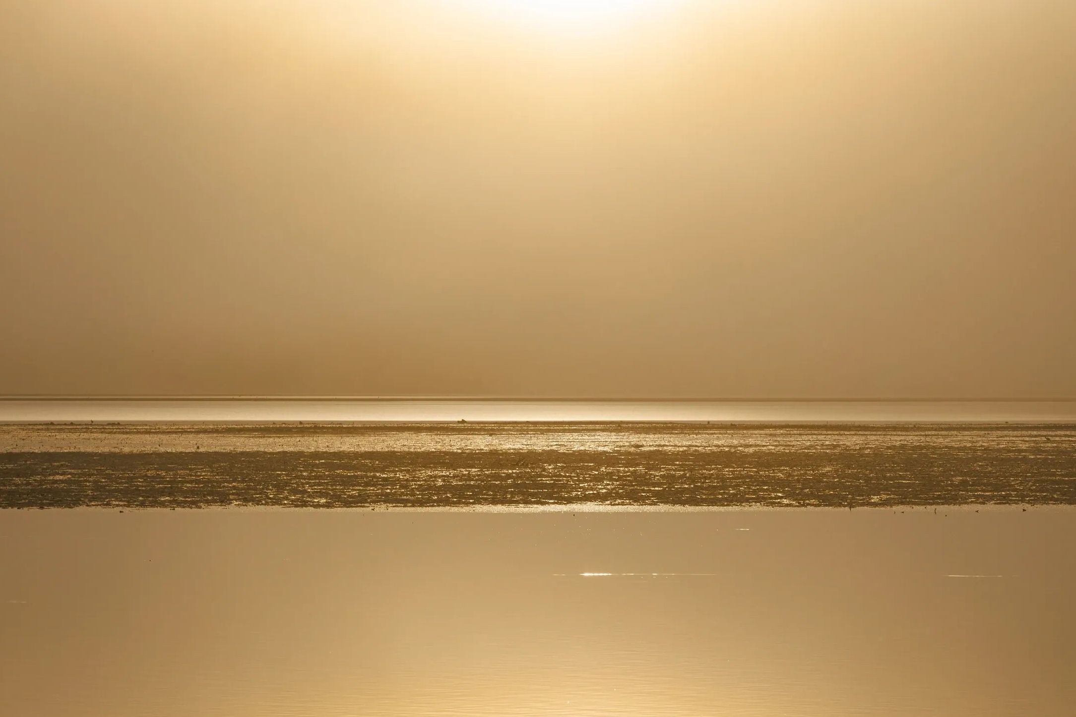 Donny Brook , a foggy morning with the Sun rising creating amazing tones