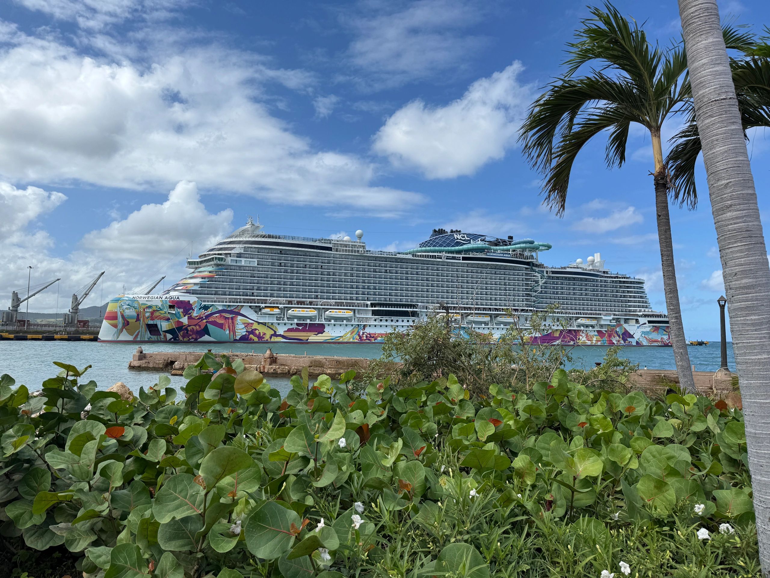 Norwegian Pearl - 7 Day Caribbean Cruise