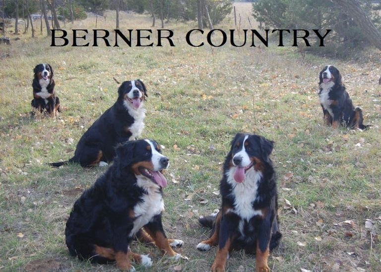 Berner Country