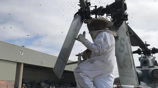 Saving bees on a Bell UH-1 Iroquois (nicknamed "Huey") at MCAS Camp Pendleton, CA.