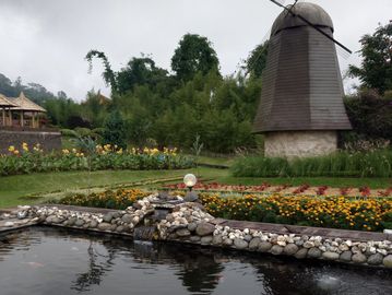A quaint windmill beside a flower garden and pond.