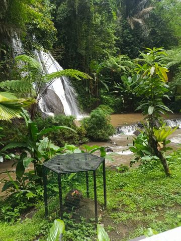 Waterfall flowing into a stream surrounded by lush greenery and a small caged structure in the foreground.