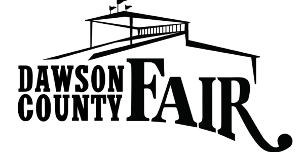 Logo of the National Geographic Channel Star with a star design.