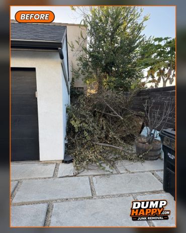 Overgrown yard with fallen branches and leaves near a garage.