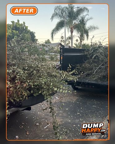 Truck loaded with cut tree branches for junk removal.