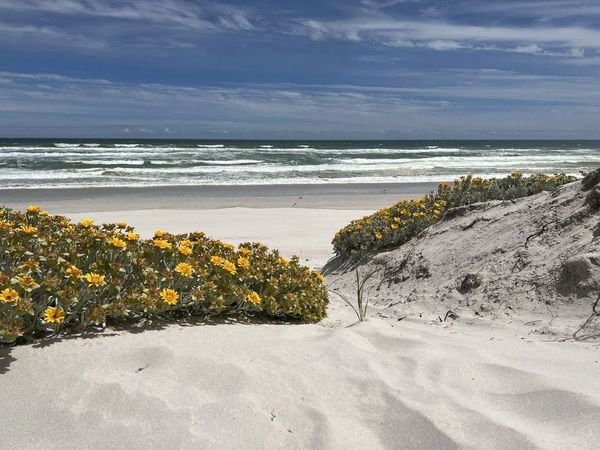 Image Source: https://www.alltrails.com/south-africa/western-cape/yzerfontein/photos