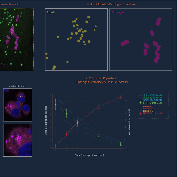 Image-based multi-parametric quantitation of host-pathogen interactions. 