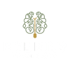 Fine Mind