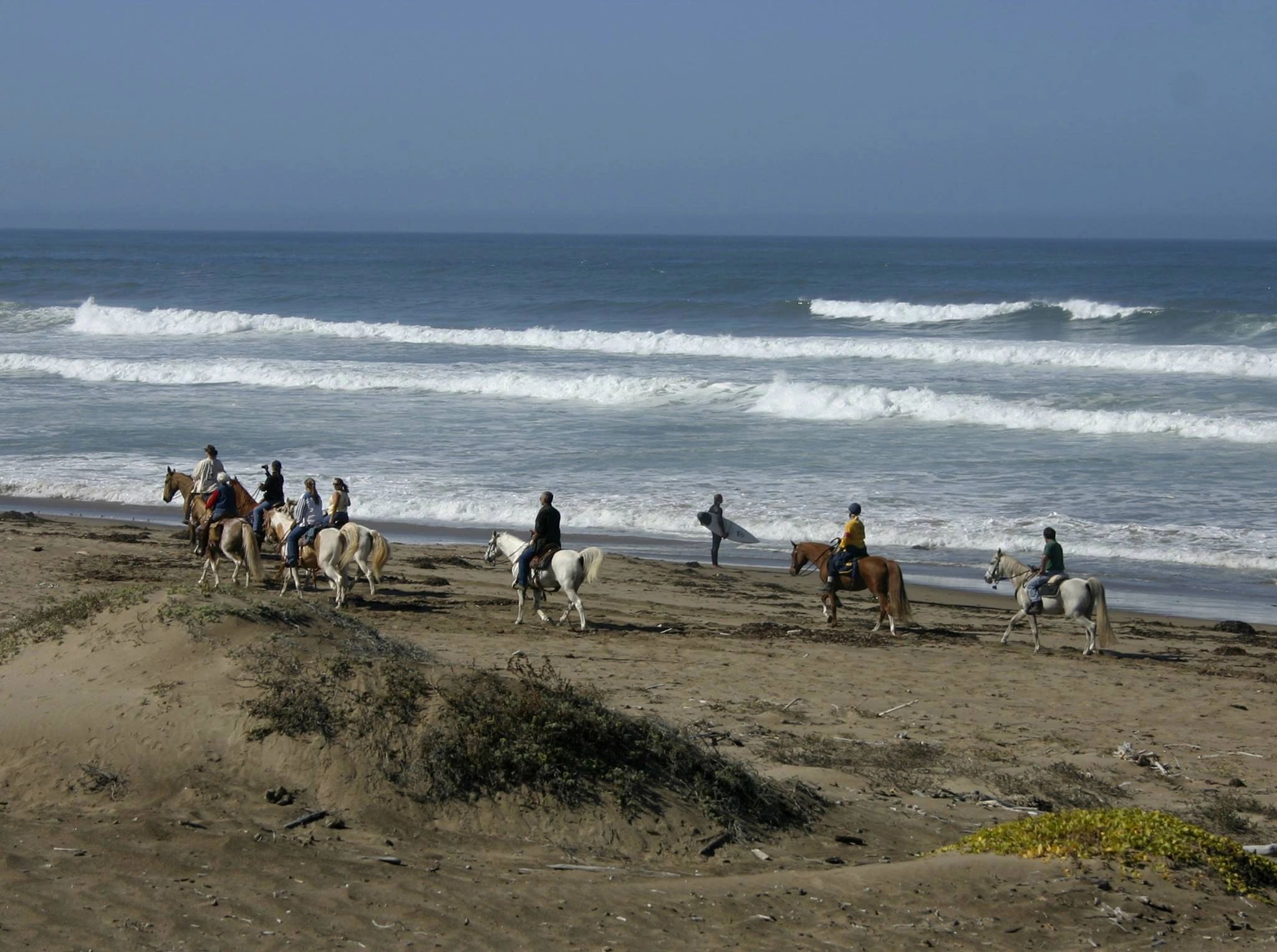 Horse Events Near Me Central Coast Horse Events