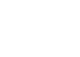 Iconiq Worx