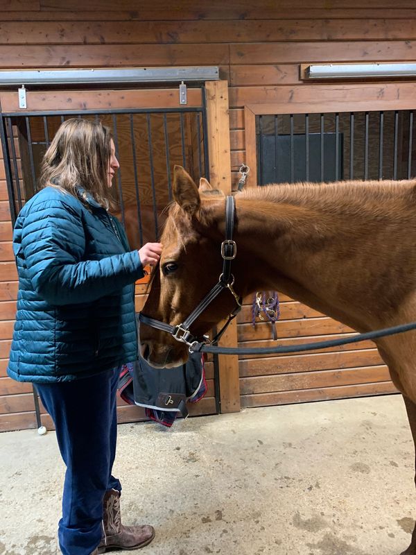 The magic of horse therapy.