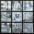 Trayci Tompkins Artist Collage 