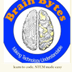 Brain Bytes Academy