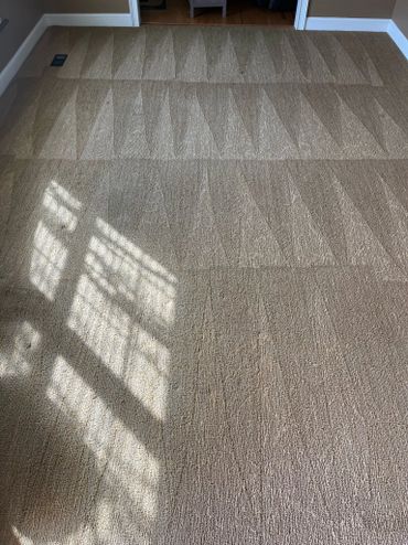 Clean beige carpet with vacuum lines and window shadows.