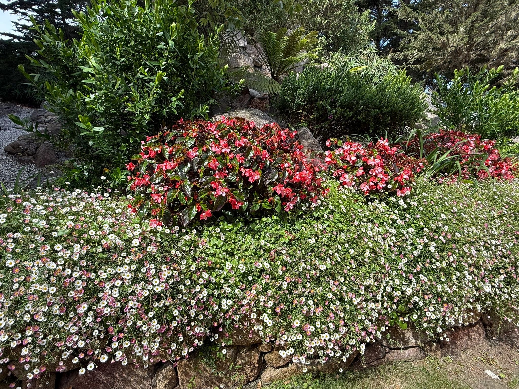 ADVANCED GARDEN SOLUTIONS work