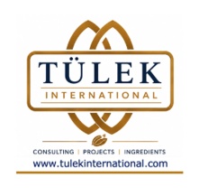 TULEK  INTERNATIONAL
