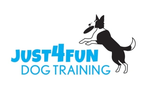 Just4Fun Trick Dogs and Training