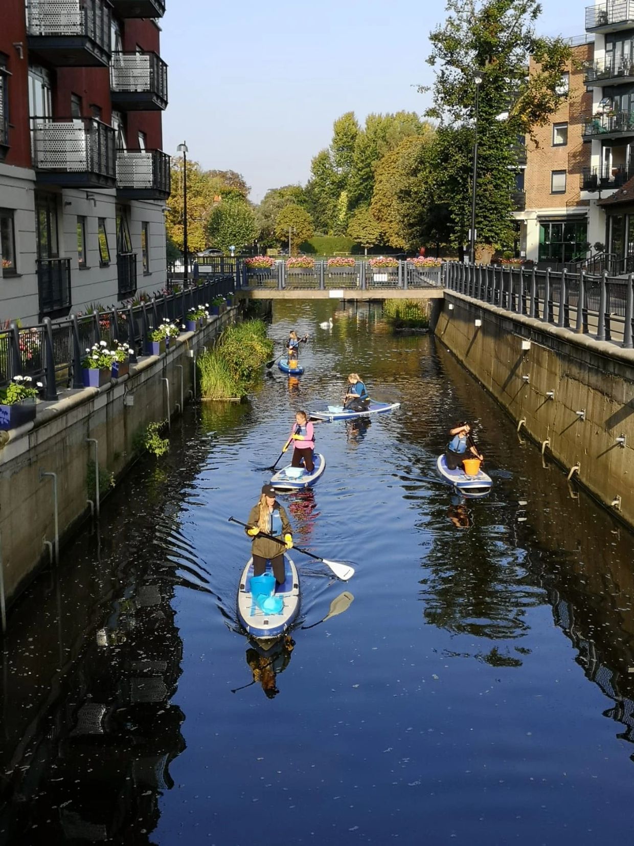 SUP Litter picking Hogsmill canal Kingston Upon Thames London