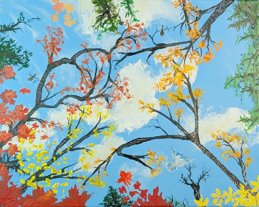 As if lying on one's back, the view skyward through a tree canopy of autumn leaves brightly colored