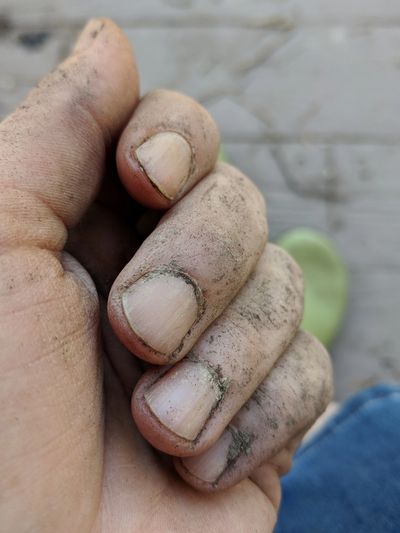 hand covered in garden dirt