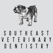 Southeast Veterinary Dentistry
