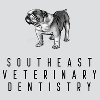 Southeast Veterinary Dentistry