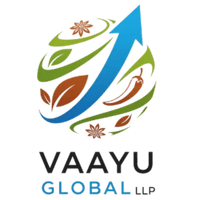 Vaayu Global LLP