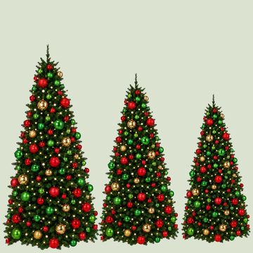 Three decorated Christmas trees of varying sizes.