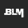 BLM Building Group