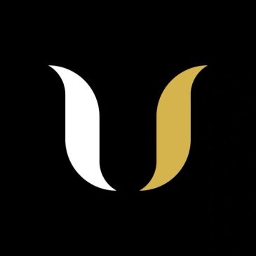 Minimalist black background with white and gold curved shapes.
