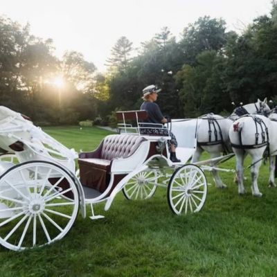 A white horse-drawn carriage with a coachman on green grass.