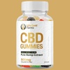 Life Gold Farms CBD Gummies