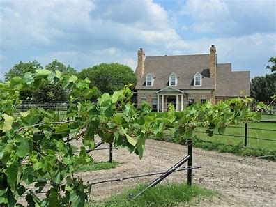 Corsicana Vineyard with wine tasting near East Texas wedding venue.
